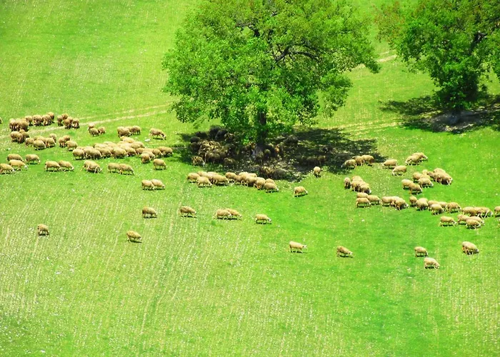 Apartamento Casa Dei Sogni D'oro San Pietro (Ancona)
